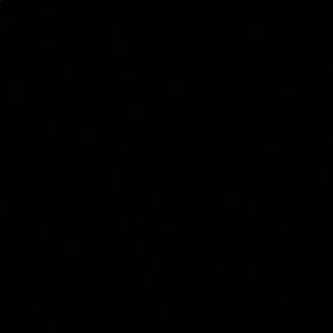 Meet your Posher, Shakira